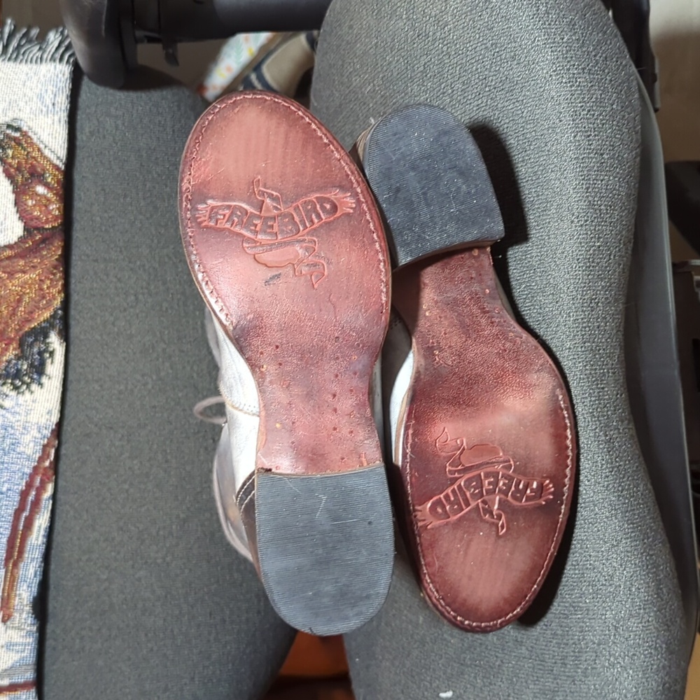 Freebird Raphael - Picture 4 of 6